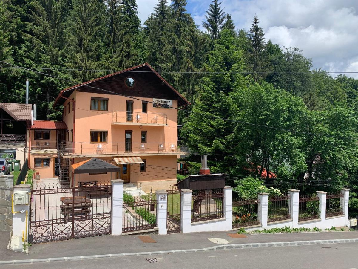 Pensiunea Luminita Guest house 3*